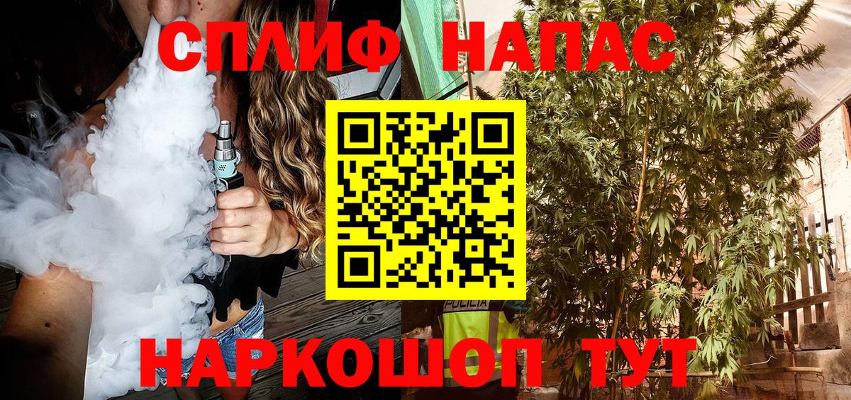 Конопля ГИДРОПОН  Вход с VPN  Бошки Шишки Ganja  Марихуана SATIVA & INDICA  Строитель 